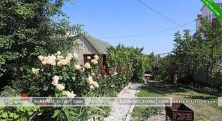 Гостиница u Lizy Коктебель-3